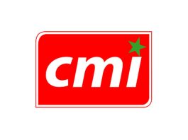 CMI au Maroc : L'Architecte Incontournable du Paysage du Paiement en Ligne