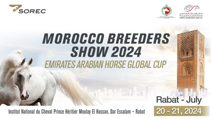 Rabat, hôte inaugural de l’Emirates Arabian Horse Global Cup Morocco 2024