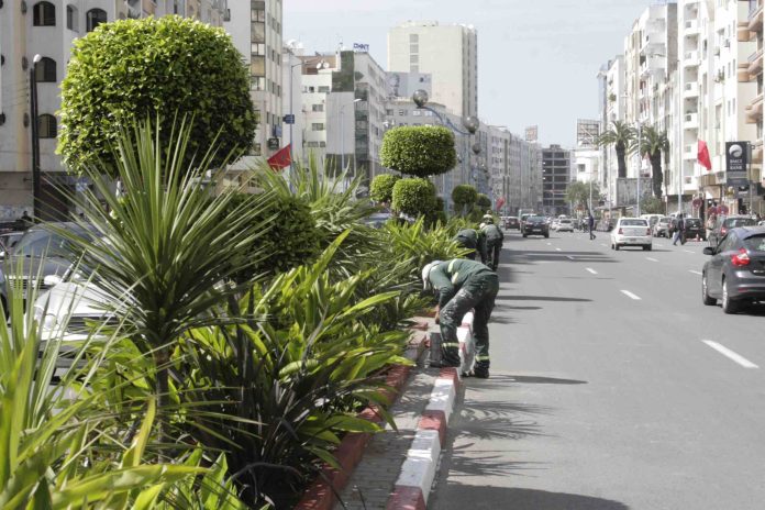 Casablanca : 112 Millions DH Investis pour la Réhabilitation du Boulevard Zerktouni